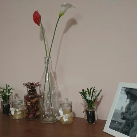 Penzion Dreaming Navona